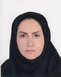 سیده انسیه موسوی